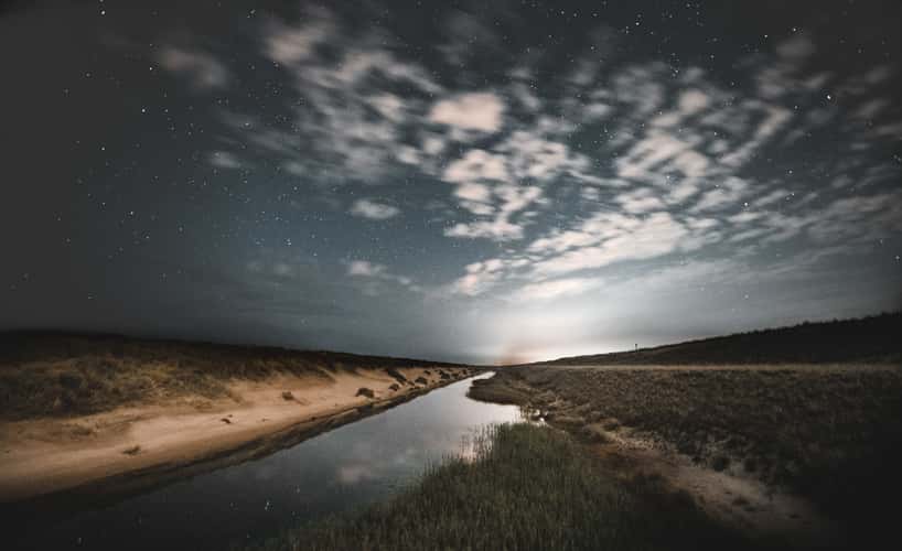 Dunes Schoorl