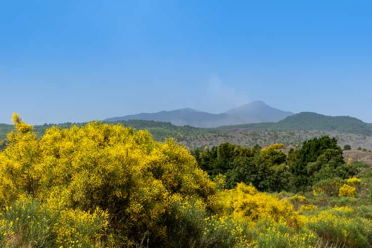 Etna North