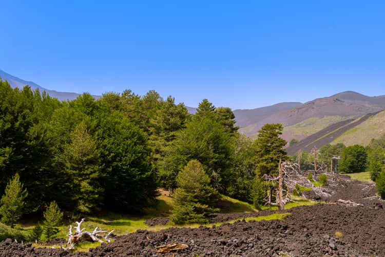 Etna North