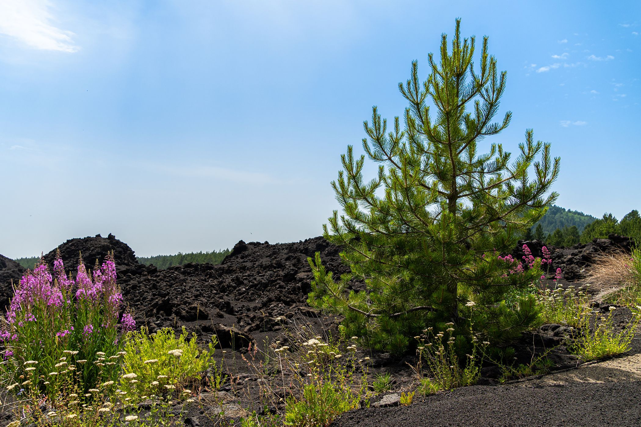 Etna North, Italy