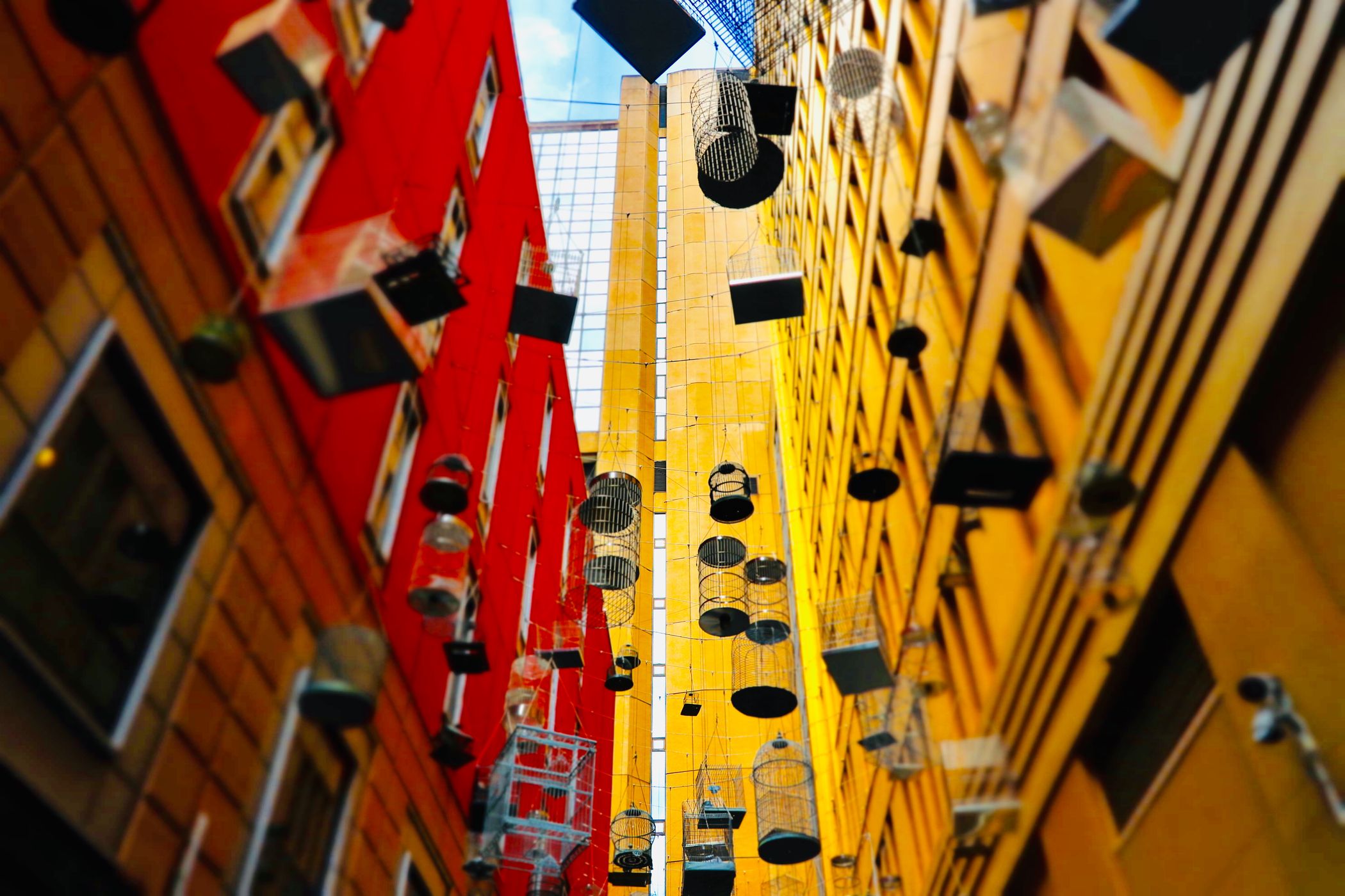 Floating Bird Cages, Sydney, Australia, Australia