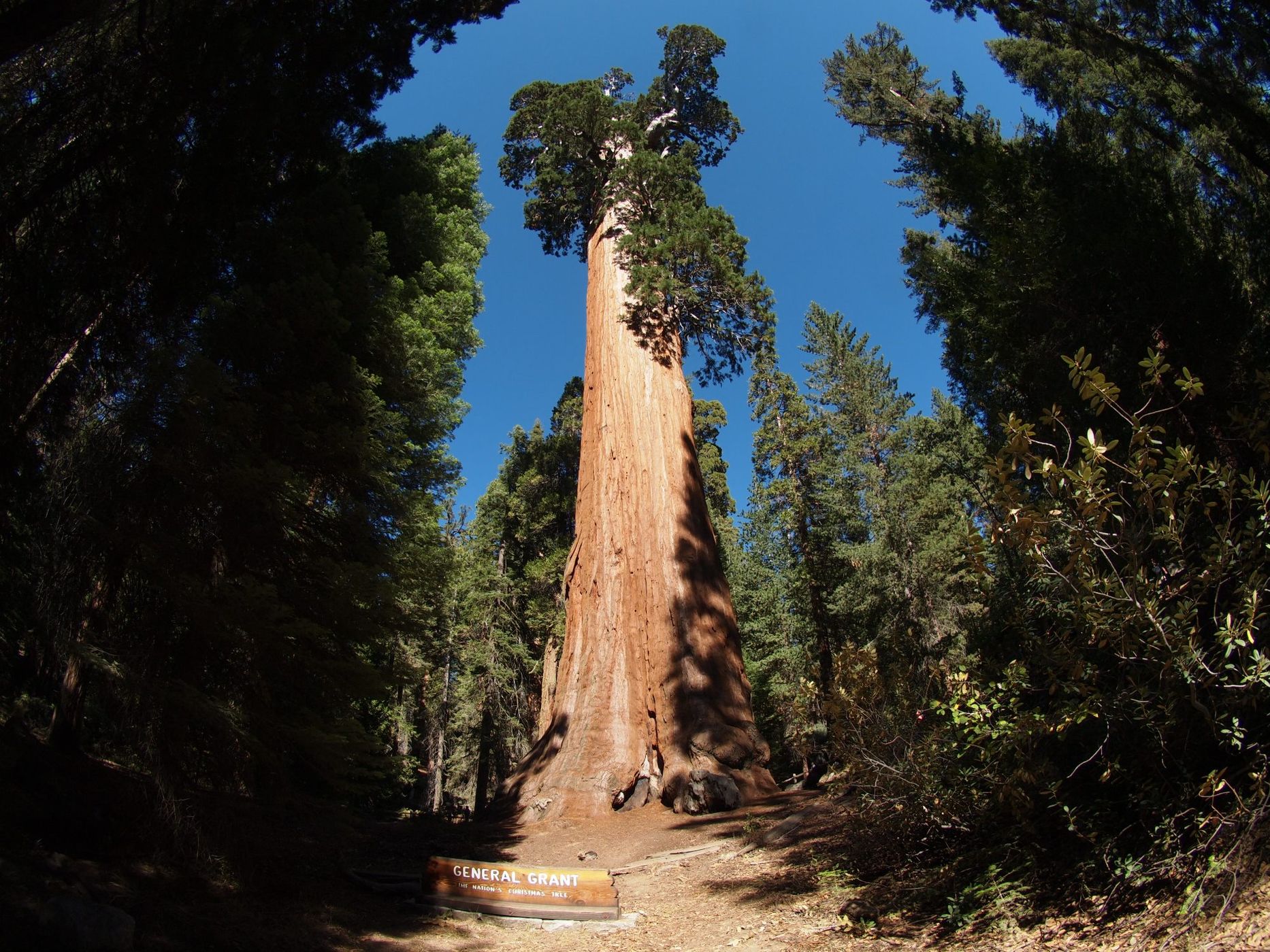 Grant tree trail hotsell