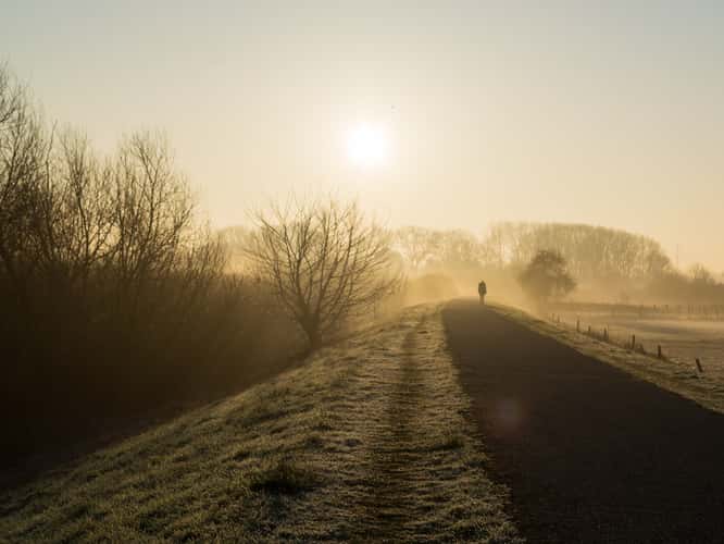 Gentbrugse Meersen