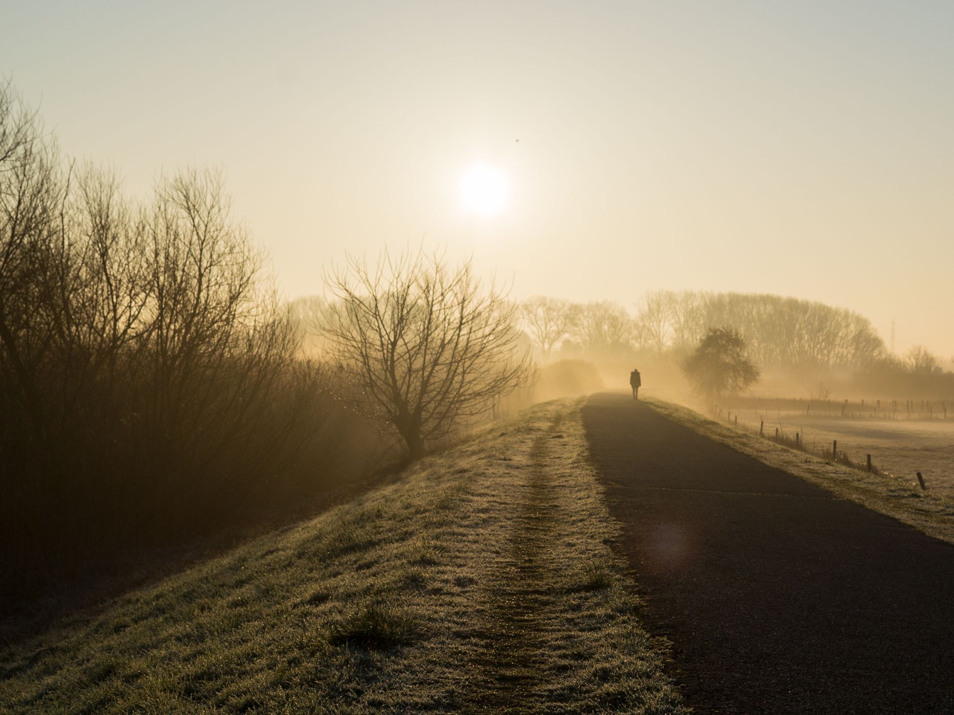 Gentbrugse Meersen, Belgium
