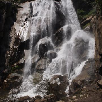 Grizzly Falls, USA