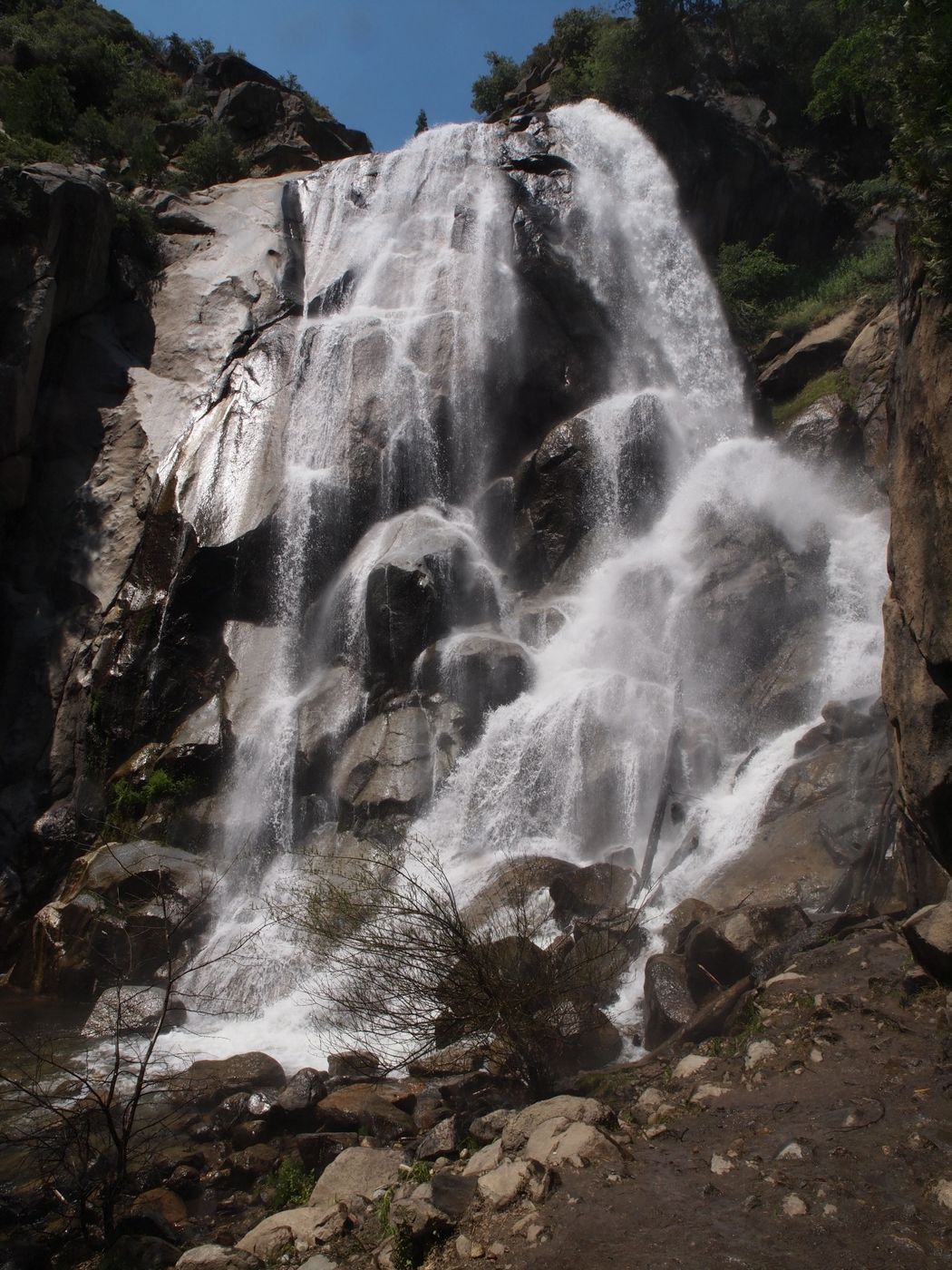 Grizzly Falls, USA
