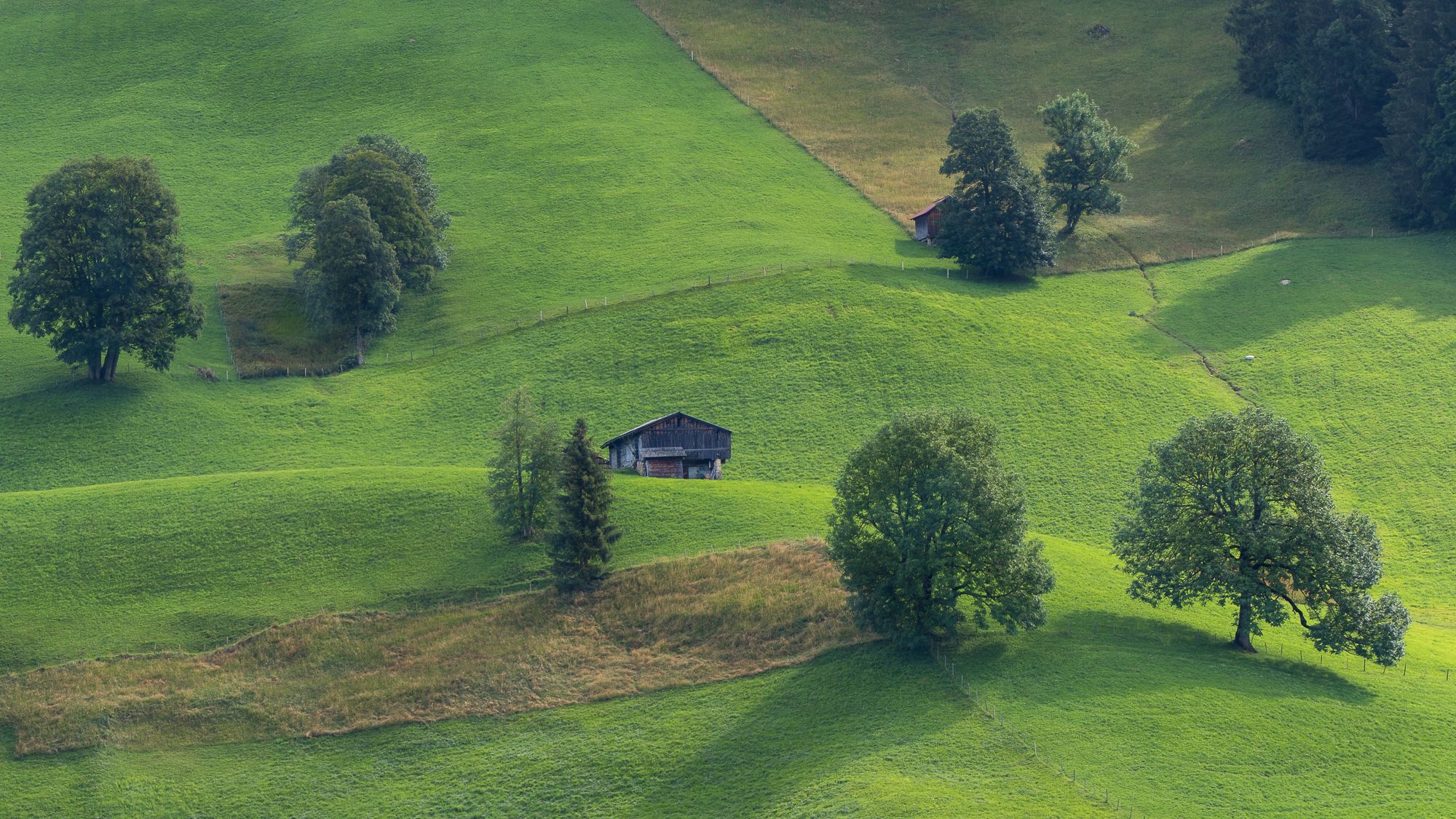 Heidi lands, Switzerland