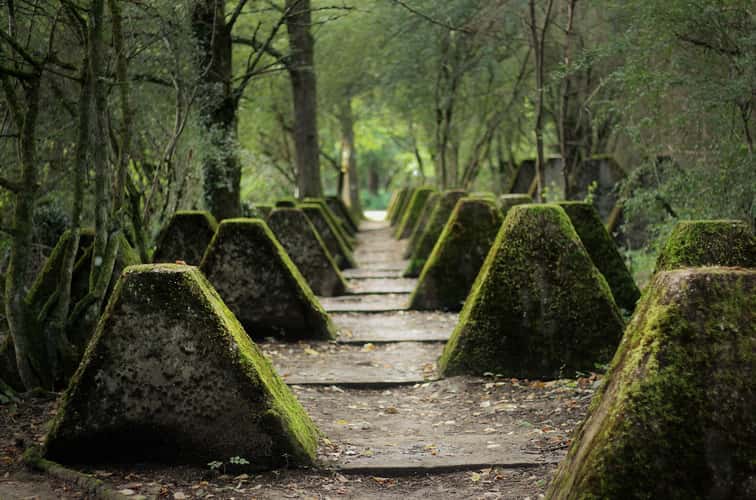Höckerlinienweg