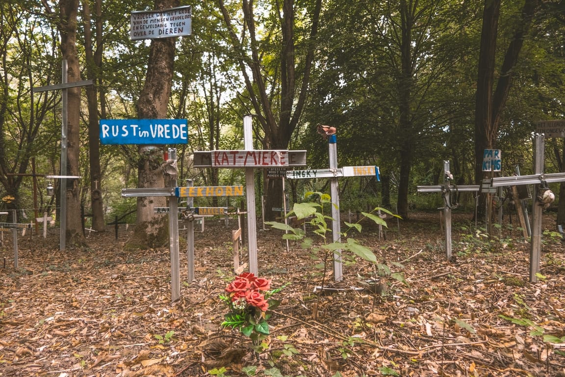 Jacky's Bos, Belgium