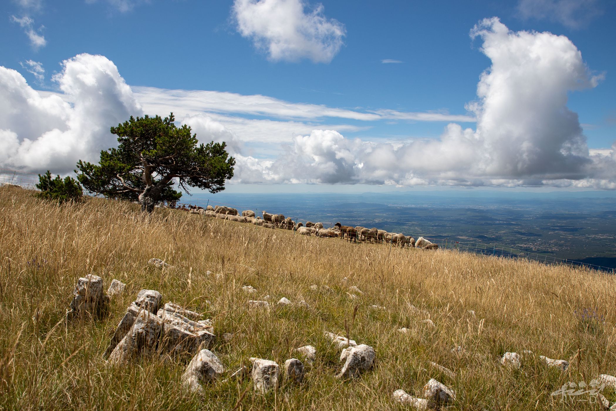 Montagne de la lance, France