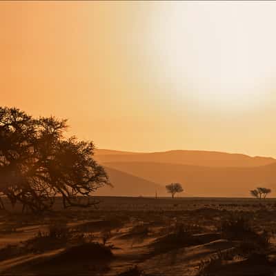 Namib sunset, Namibia