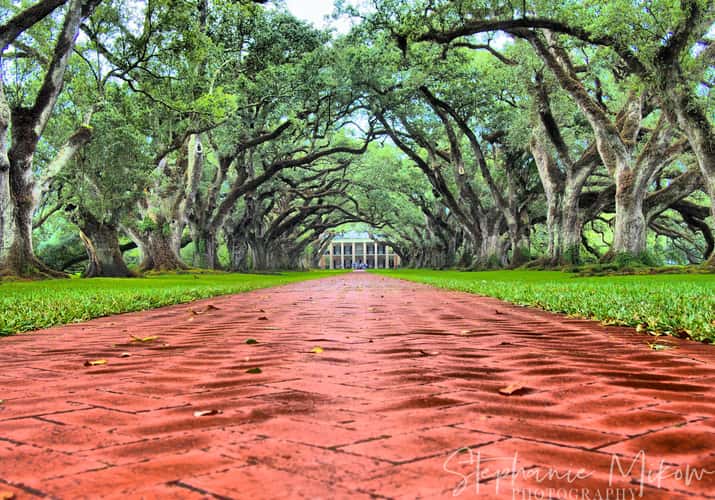 Oak Alley Plantation, Vacherie