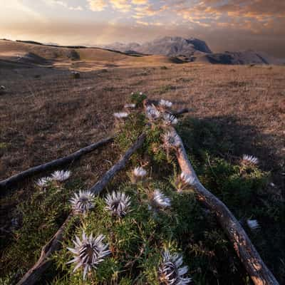 Pantani di Accumoli, Italy