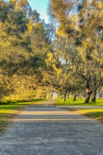 Path to Narrabeen bridge, Narrabeen, New South Wales