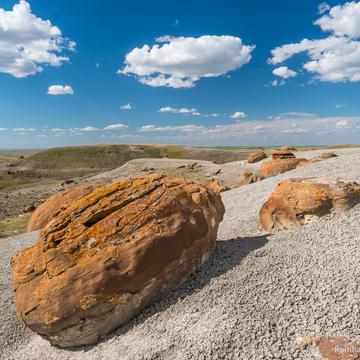 Red Rock Coulee, Canada