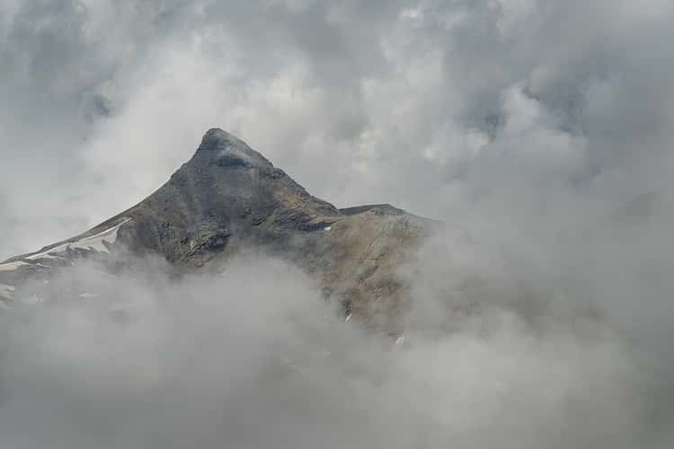 Schildhorn