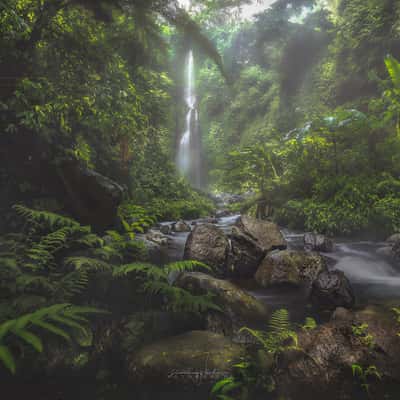 Sekumpul, Fiji & Hidden Waterfalls, Indonesia