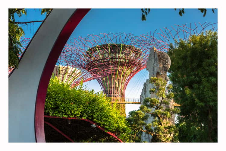 Supertree Grove - Gardens by the bay, Singapore