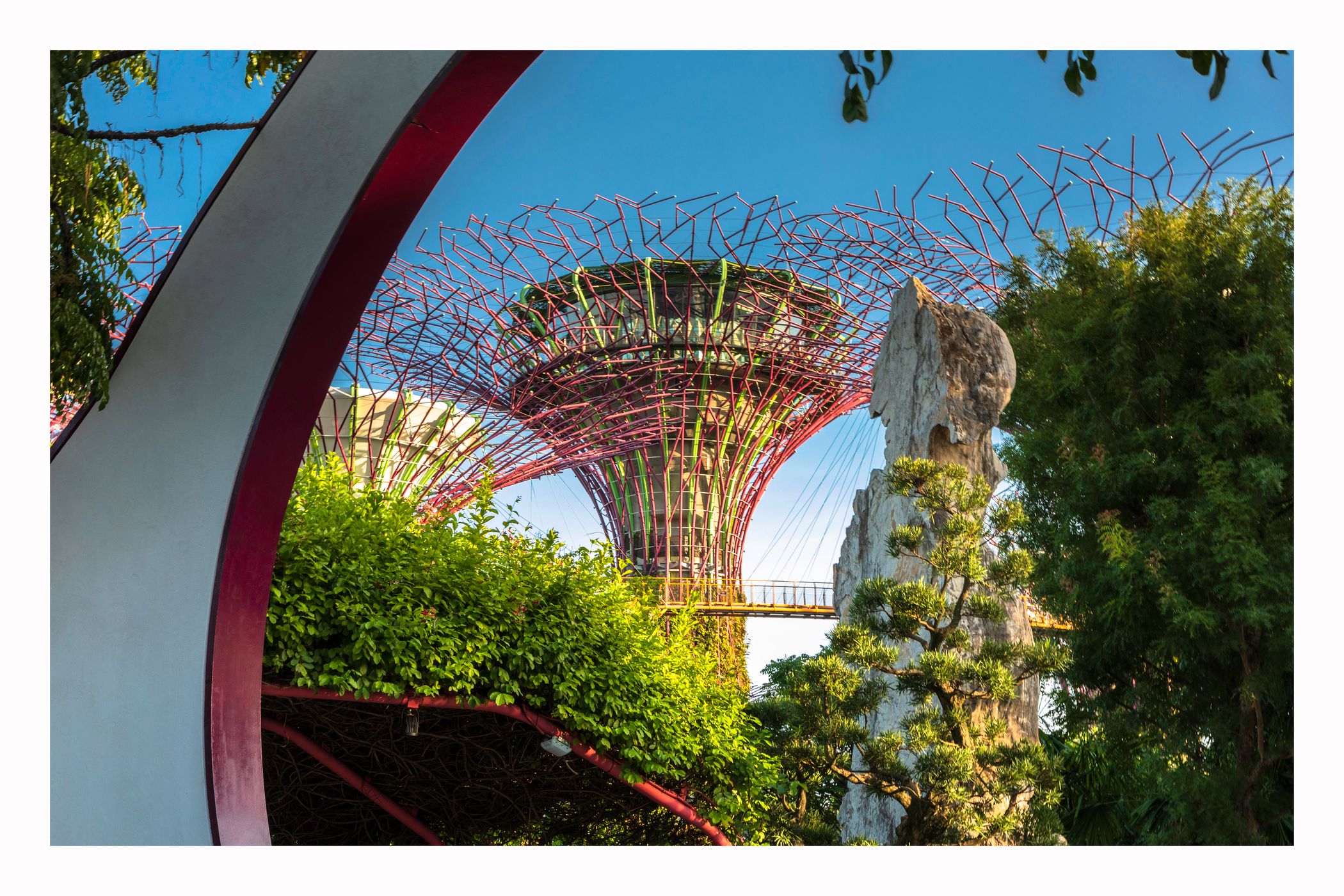 Supertree Grove - Gardens by the bay, Singapore, Singapore