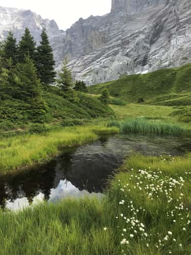 Small lake