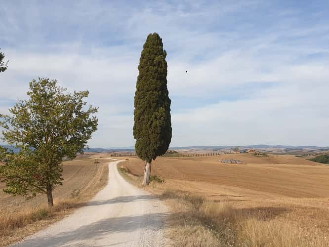 Strade bianche di Corsanello