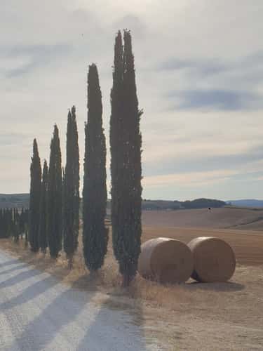 Strade bianche di Corsanello