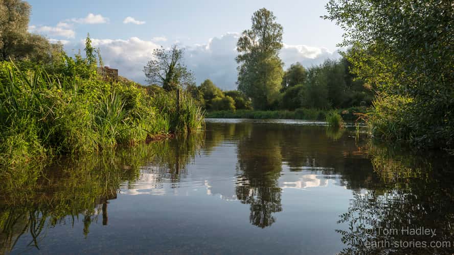 The River Test at Houghton
