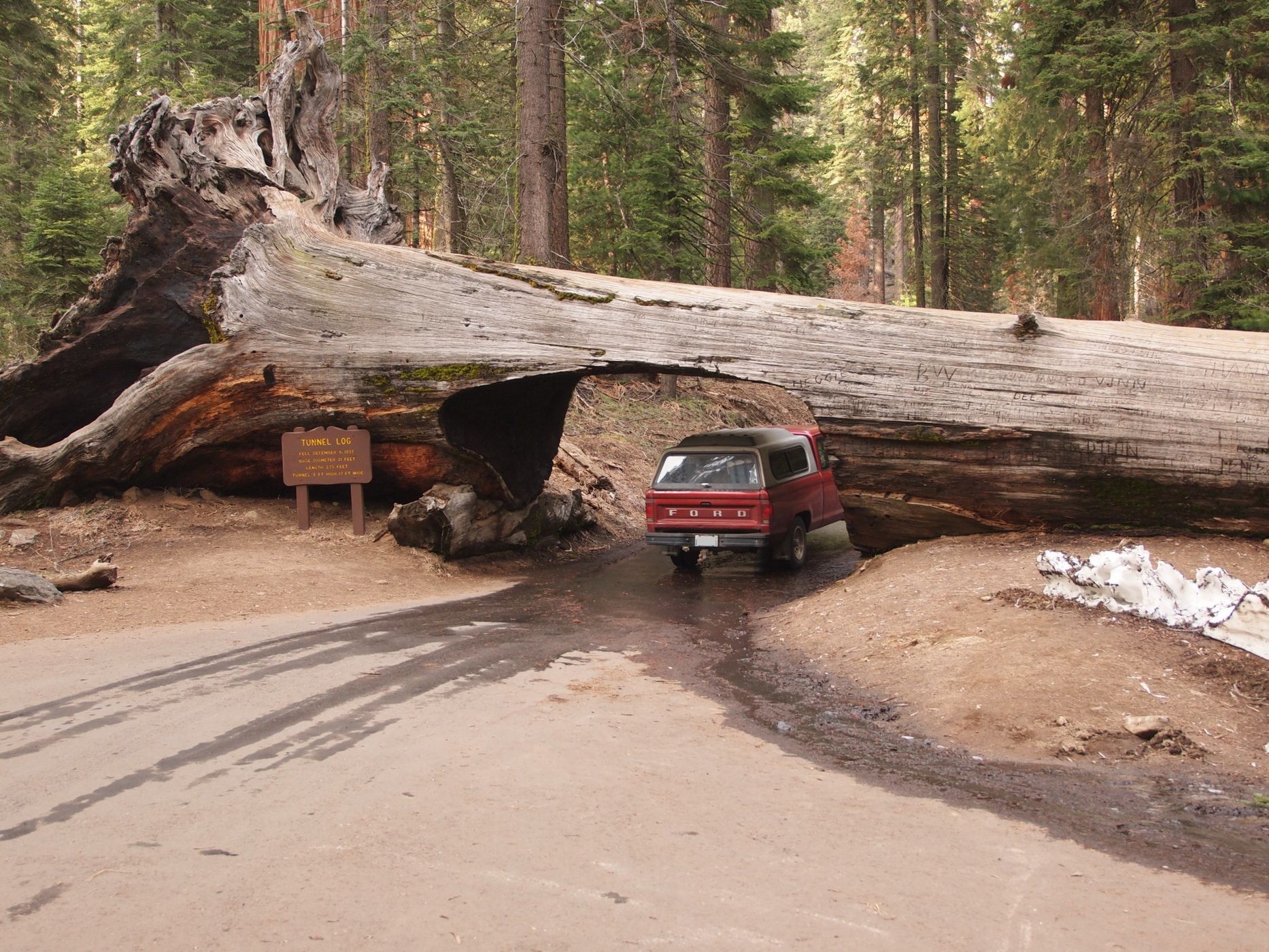 Tunnel Log, USA