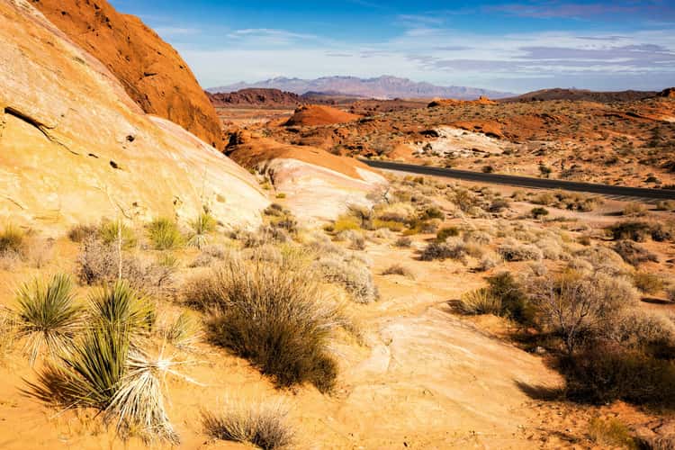 White Domes Trailhead