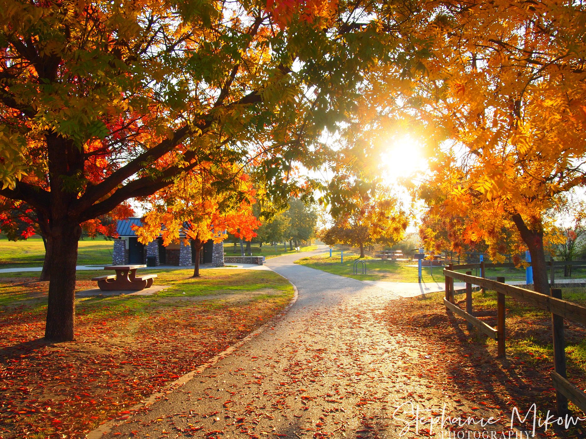 WOODWARD PARK, USA