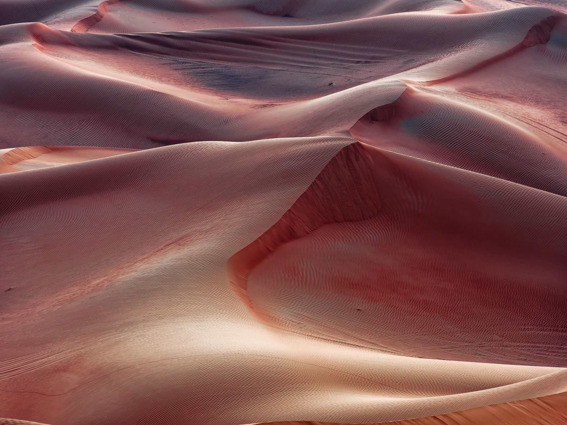 Al Madam - Schardscha, United Arab Emirates