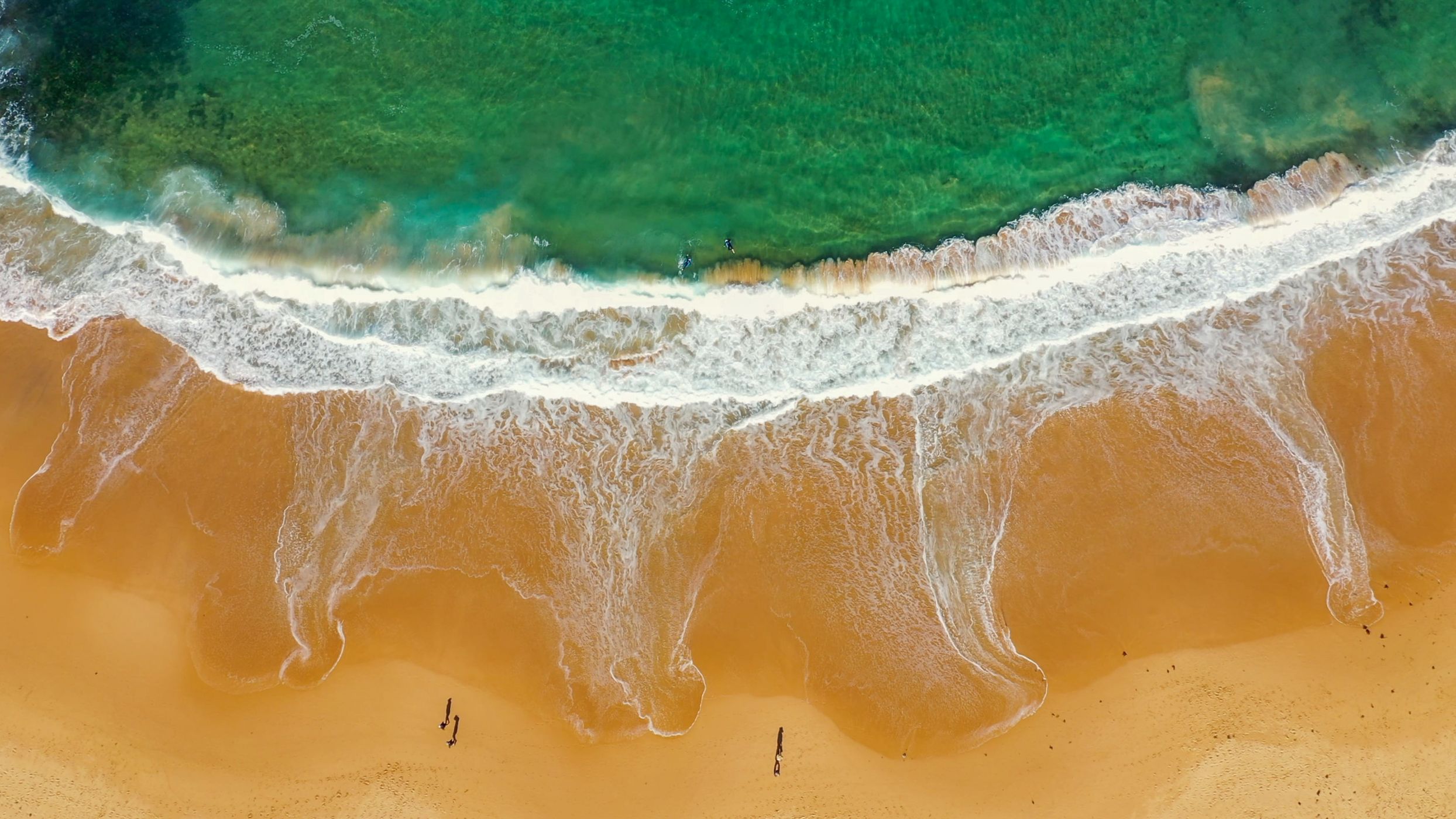 Beach Walk, Basin Beach, Mona Vale, Sydney, Australia