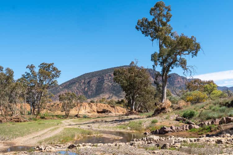 Brachina Creek
