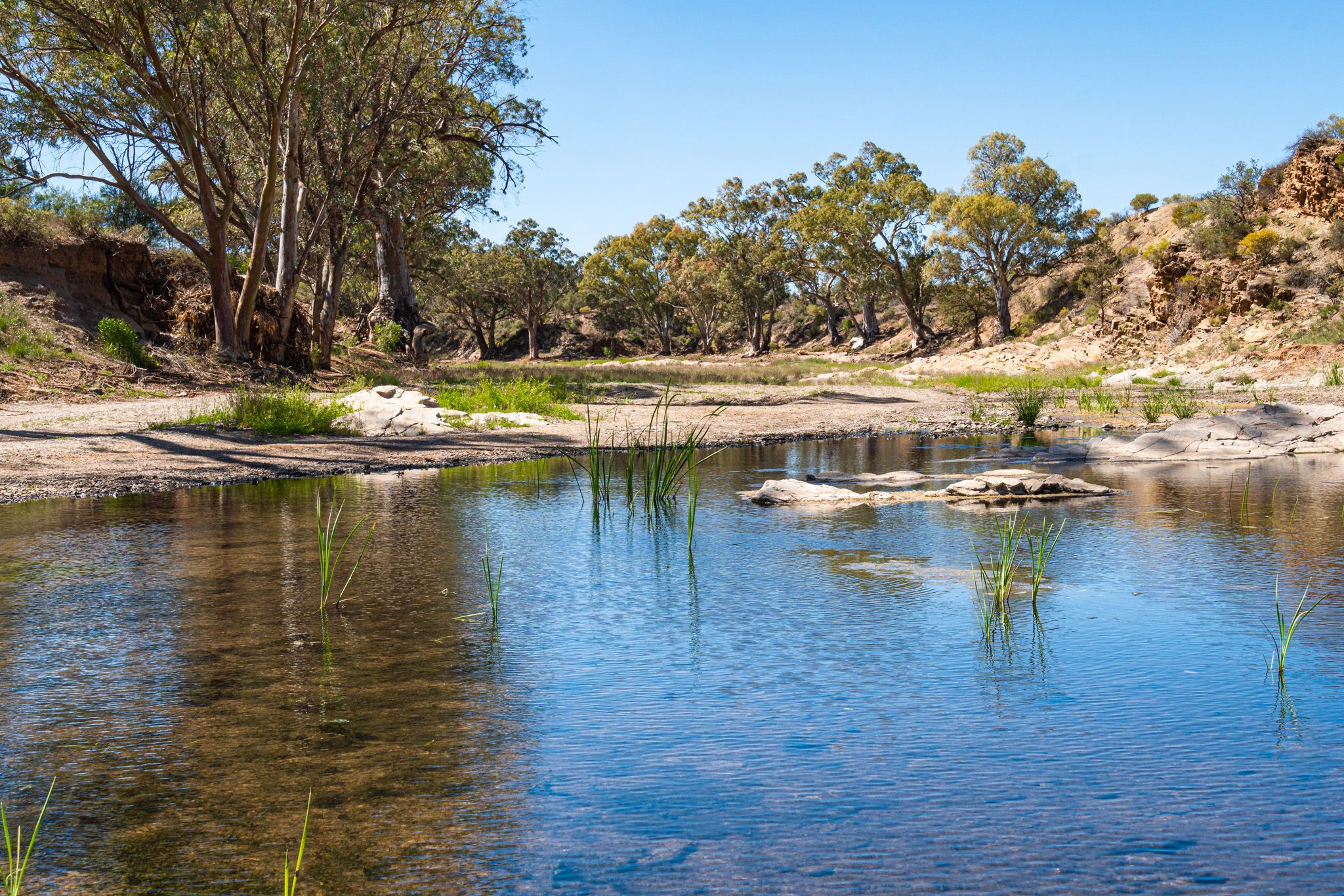 Brachina Creek, Australia
