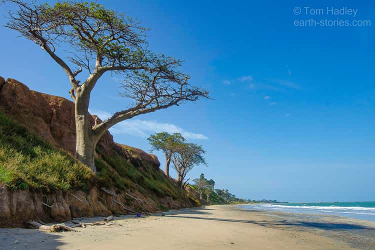 Brufut Beach
