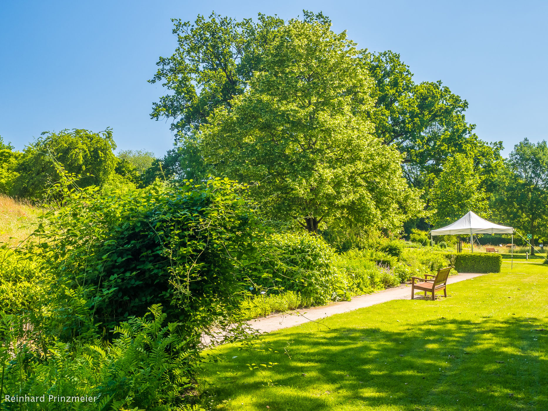 Celle Medicinal Plant Garden, Germany
