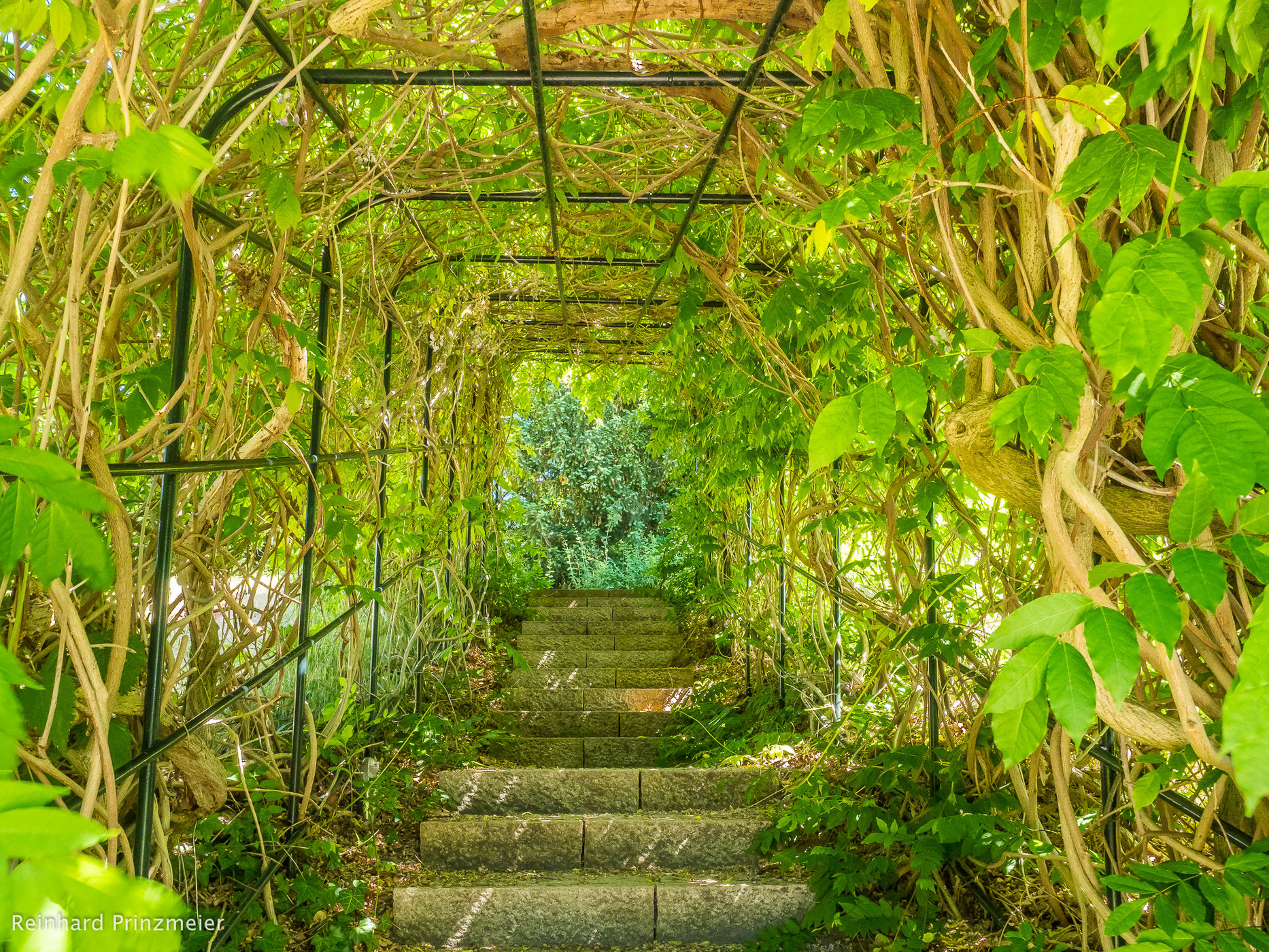 Celle Medicinal Plant Garden, Germany