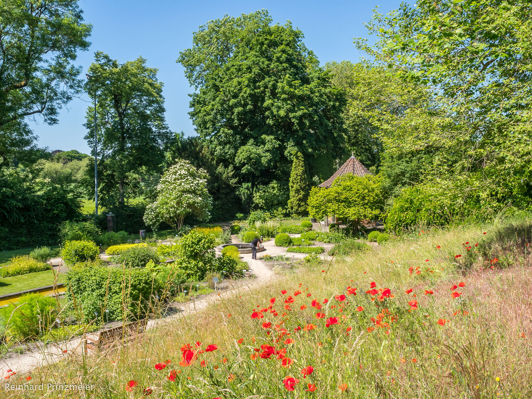Celle Medicinal Plant Garden, Germany