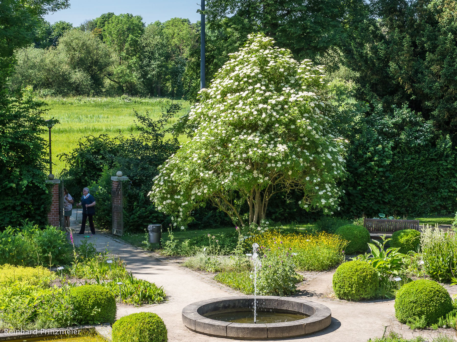 Celle Medicinal Plant Garden, Germany