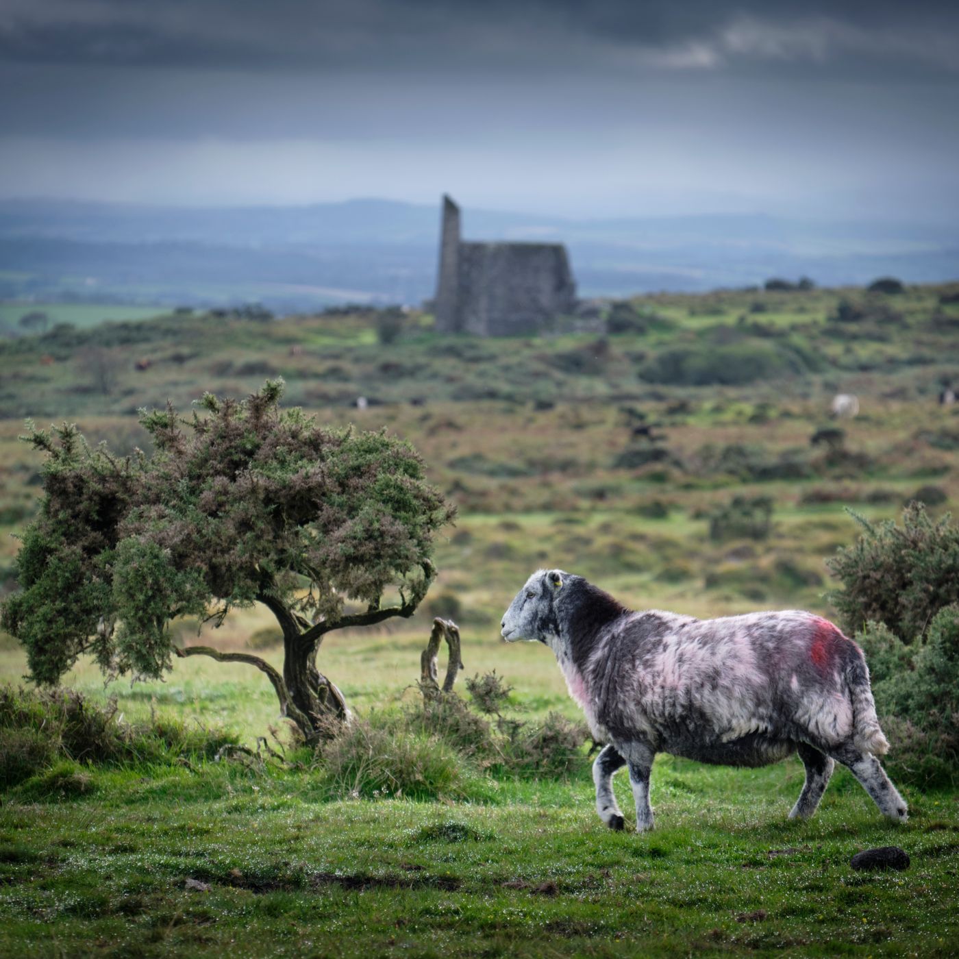 CheeseRing, United Kingdom