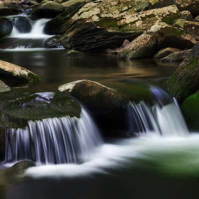 Close to Kaaterskill Falls, USA