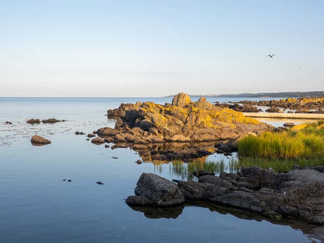 Coast in Allinge, Bornholm