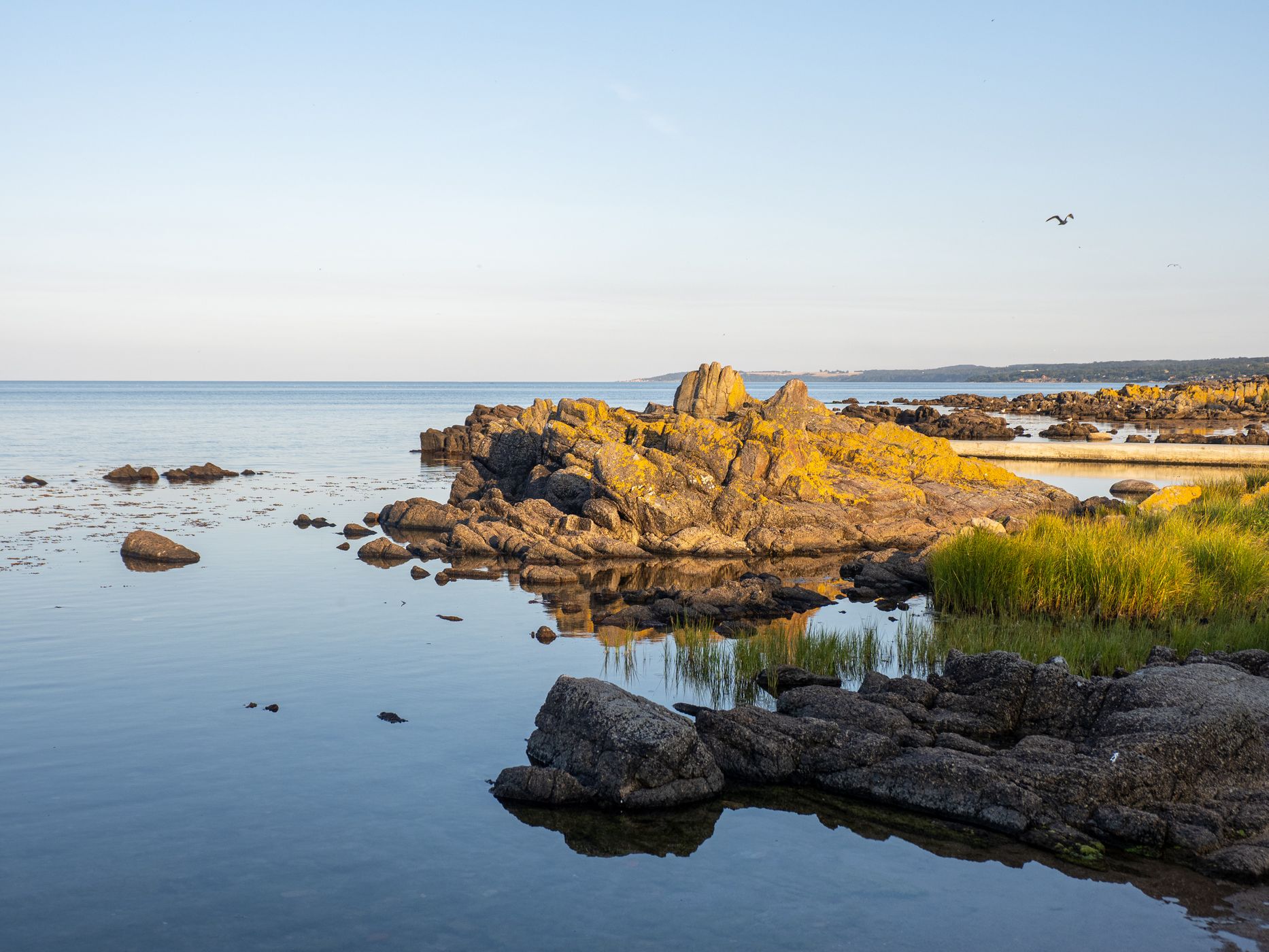 Coast in Allinge, Bornholm, Denmark