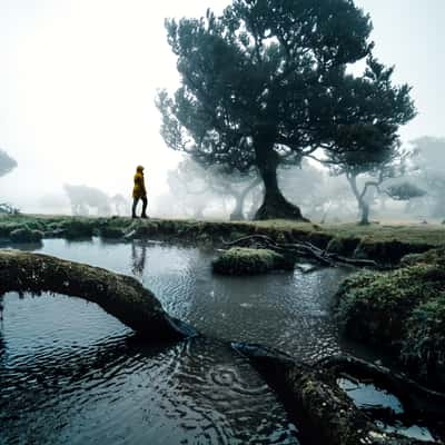 Fanal, Portugal