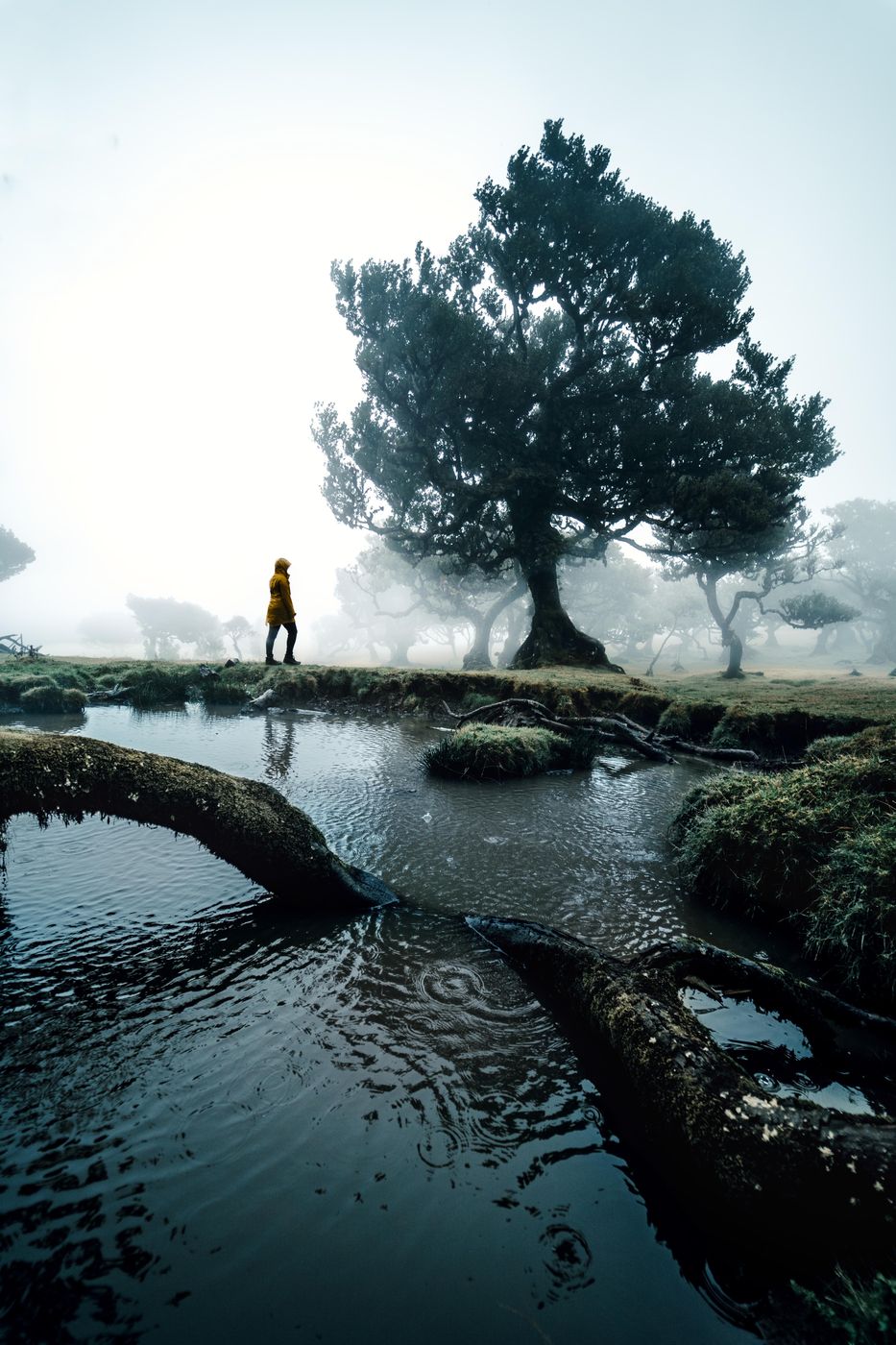 Fanal, Portugal