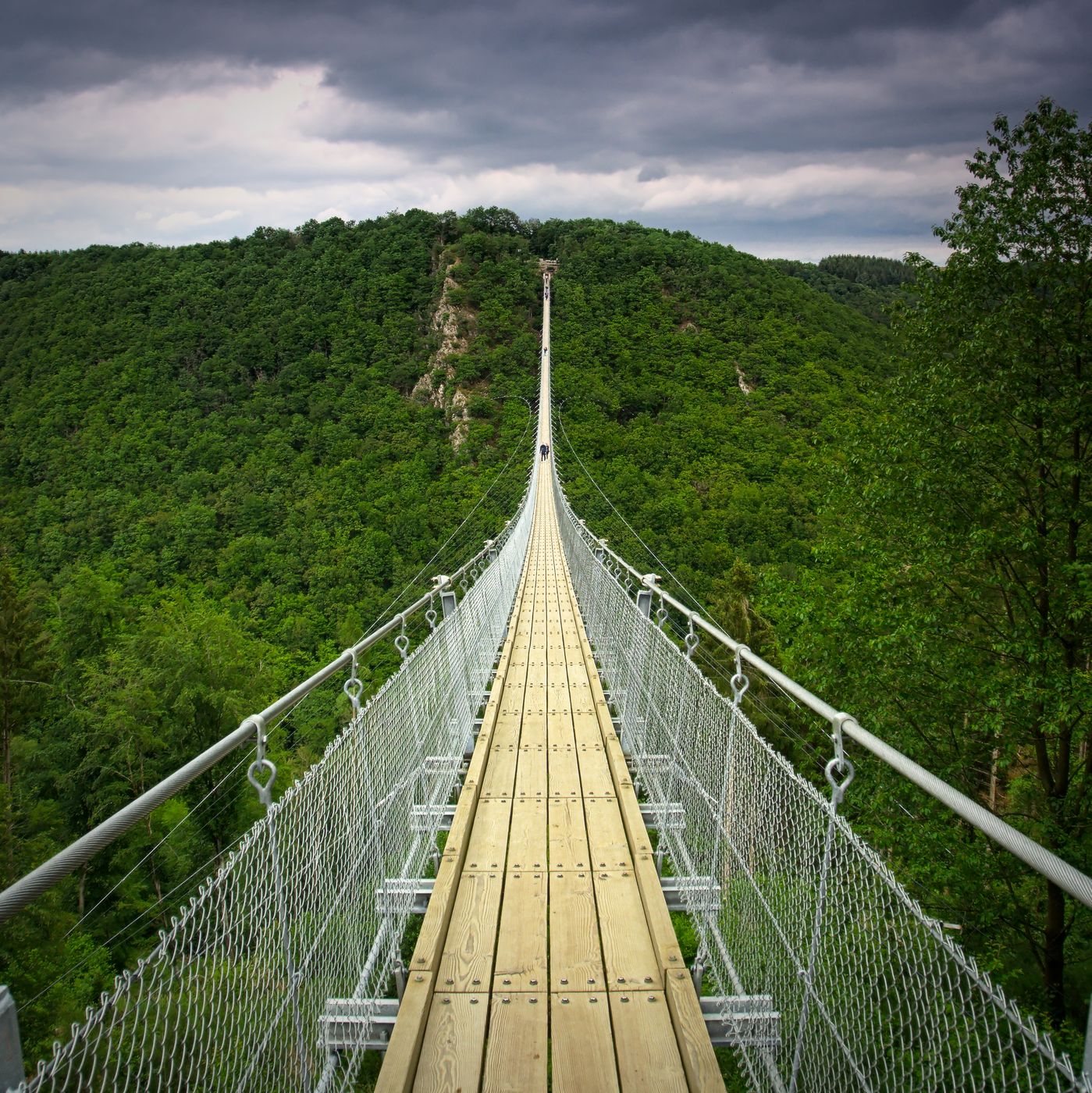 On the rope bridge, Germany