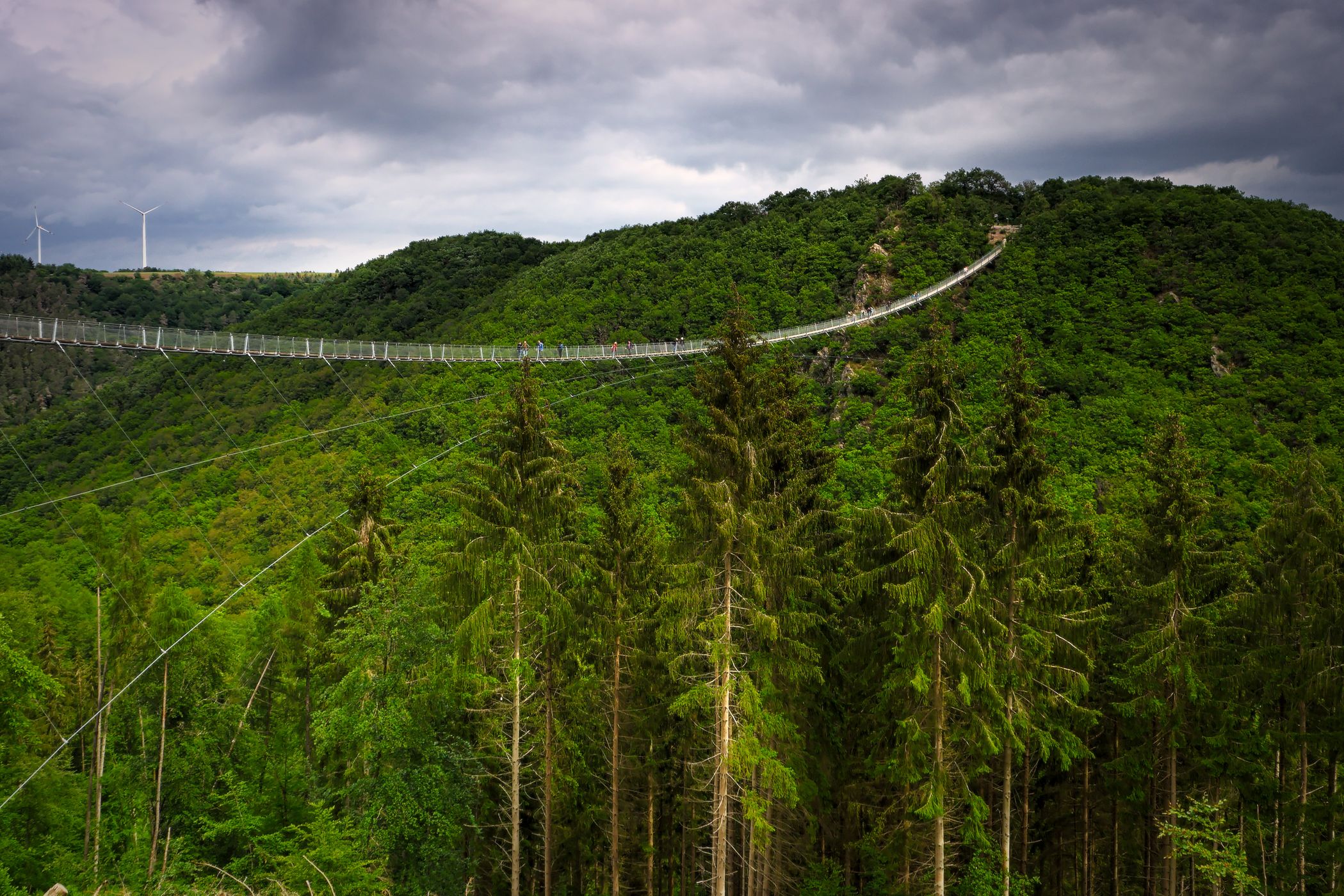 Germanys longest rope bridge Geierlay, Germany