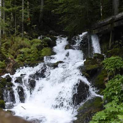 Großegge-Quelle, Austria