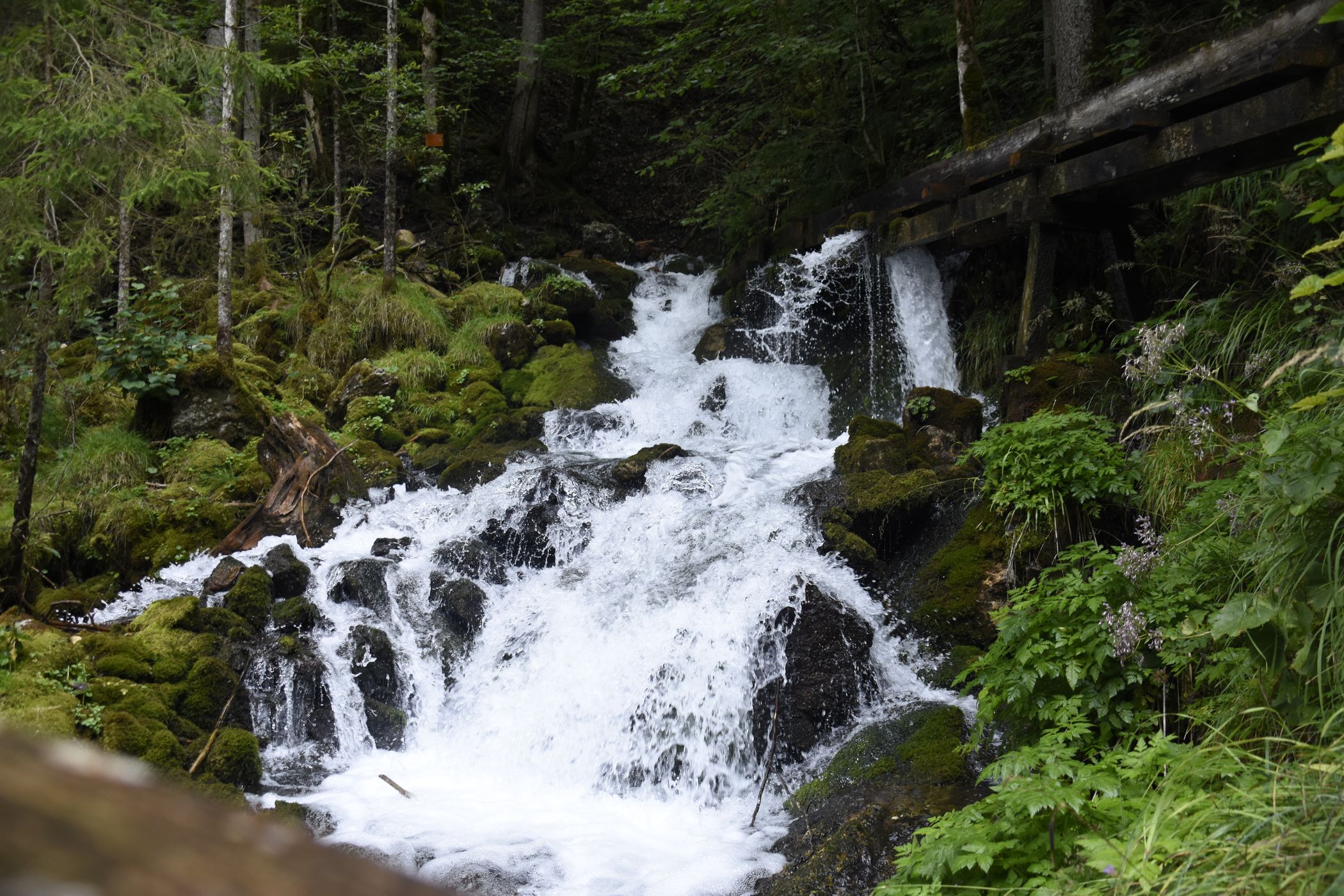 Großegge-Quelle, Austria