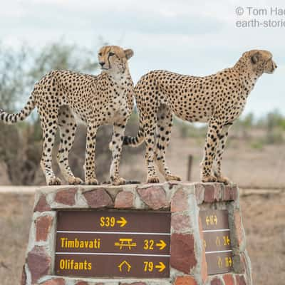 H7 - S39 road junction KNP, South Africa